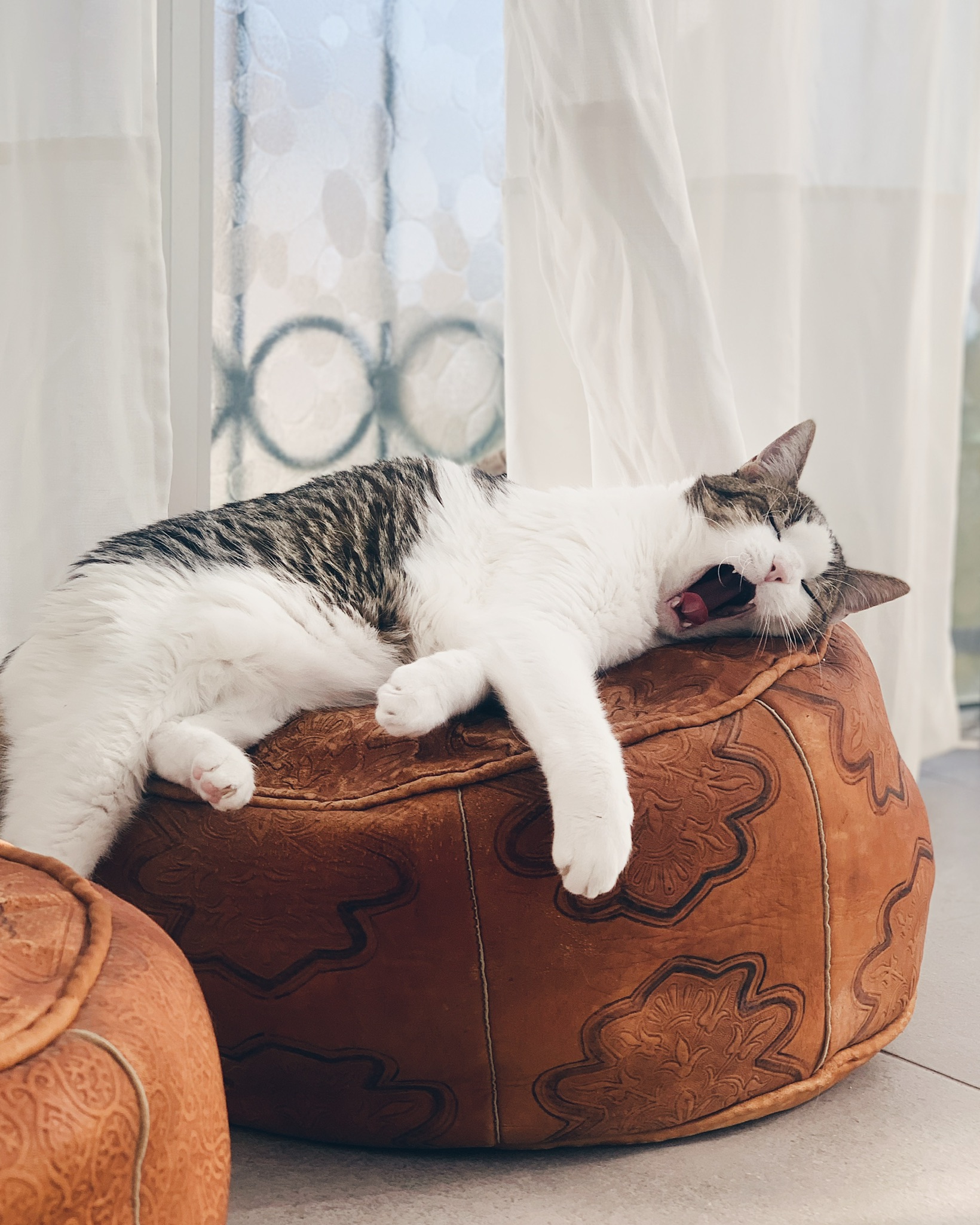 A casa está vazia sem ti